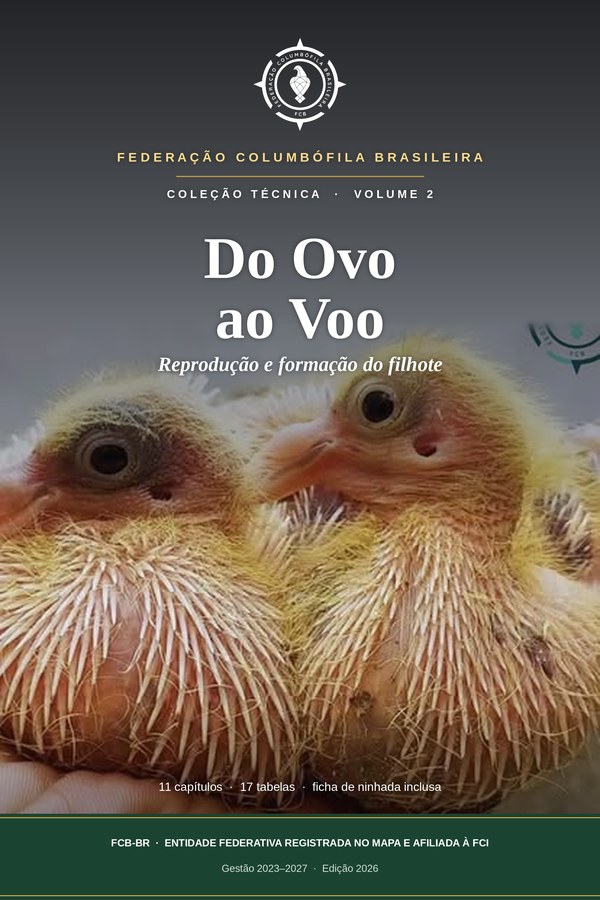Do Ovo ao Voo