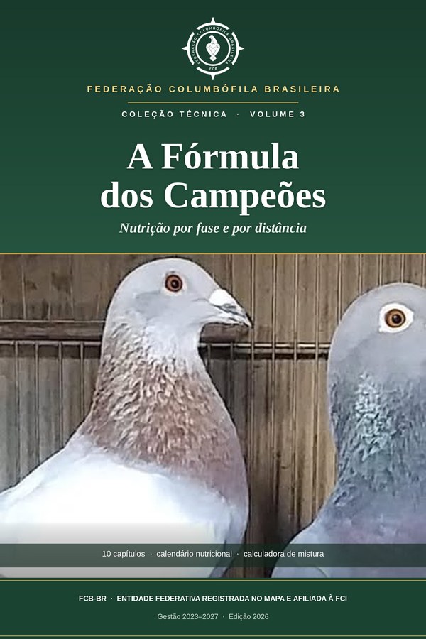 A Fórmula dos Campeões
