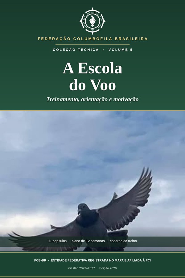 A Escola do Voo