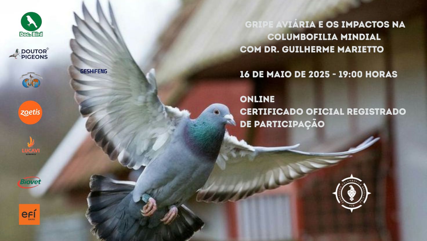 PALESTRA GRATUITA – GRIPE AVIÁRIA E OS IMPACTOS NA COLUMBOFILIA MUNDIAL