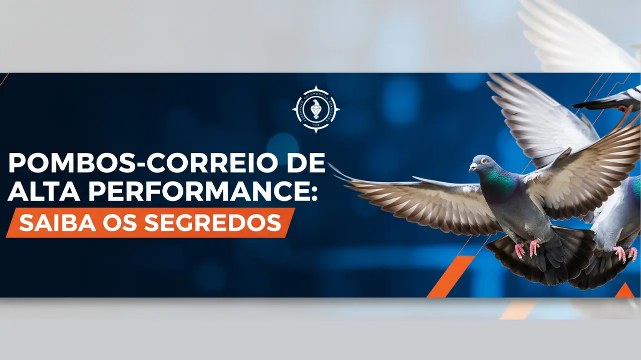 Acesso Restrito