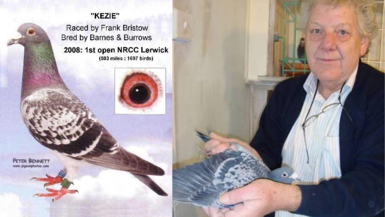 Uma Lenda Relembrada: A Incrível Vitória de Frank Bristow em Lerwick