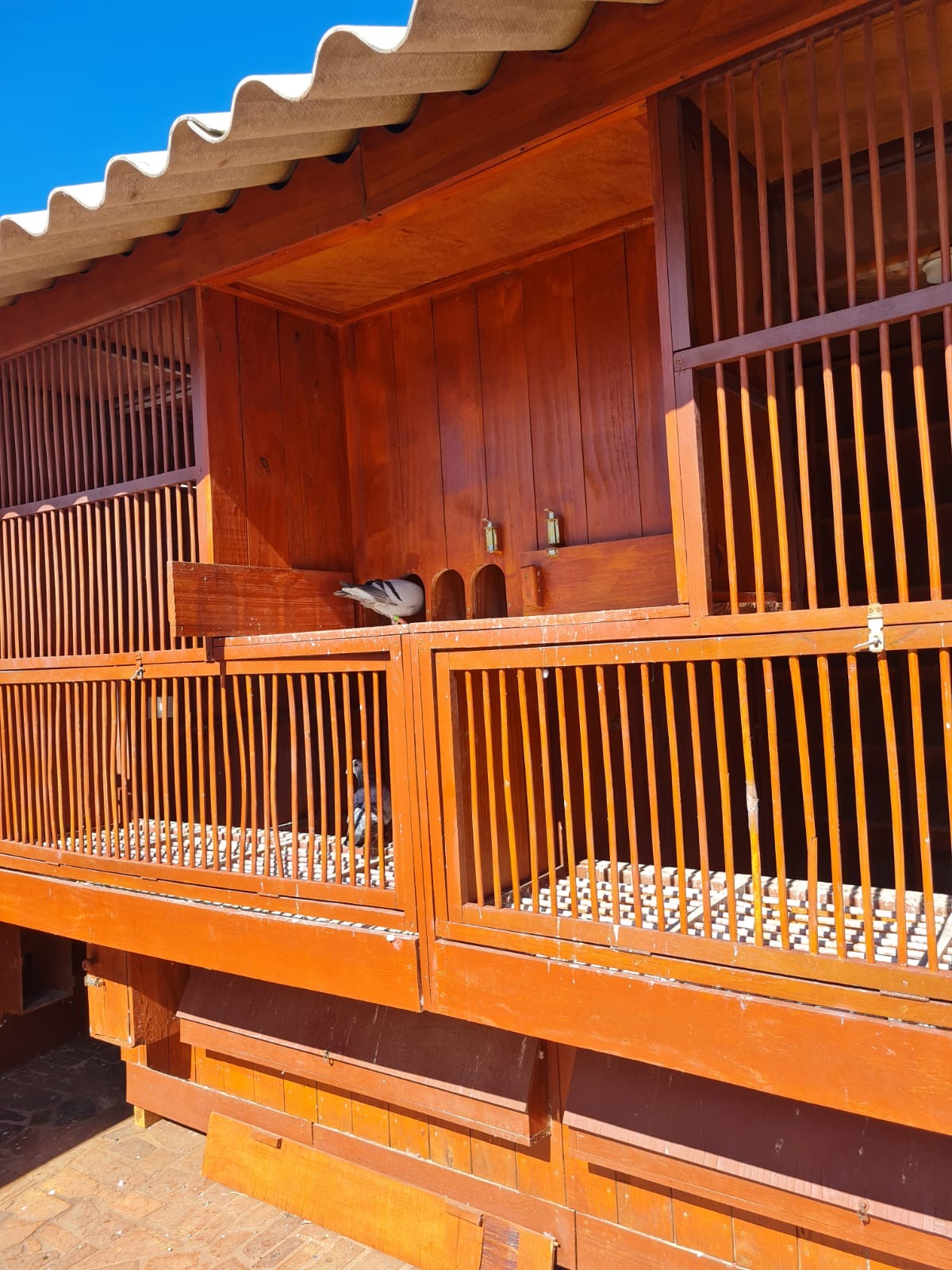 De Denúncia a Elogio: A Blindagem Sanitária da FCB transforma fiscalização em reconhecimento