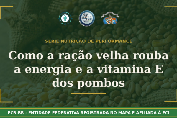 Como a Ração “Velha” Rouba a Energia e a Vitamina E dos Pombos