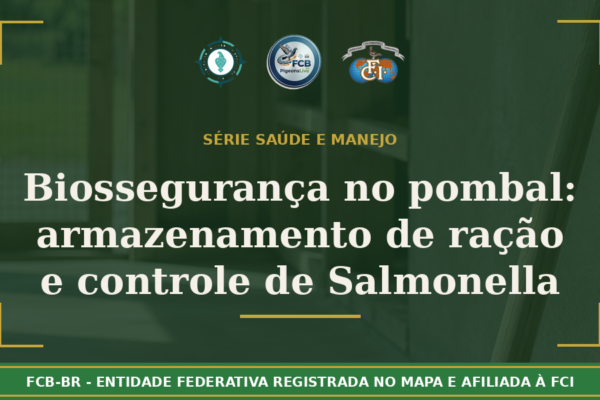 Biossegurança no Pombal: Armazenamento de Ração e o Controle de Salmonella