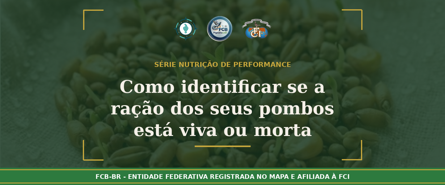 Como Identificar se a Ração dos seus Pombos está “Viva” ou “Morta”