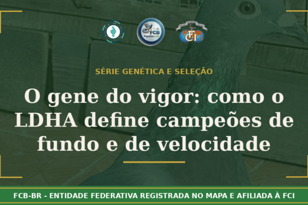 O “Gene do Vigor”: Como o LDHA Define Campeões de Fundo e Velocidade