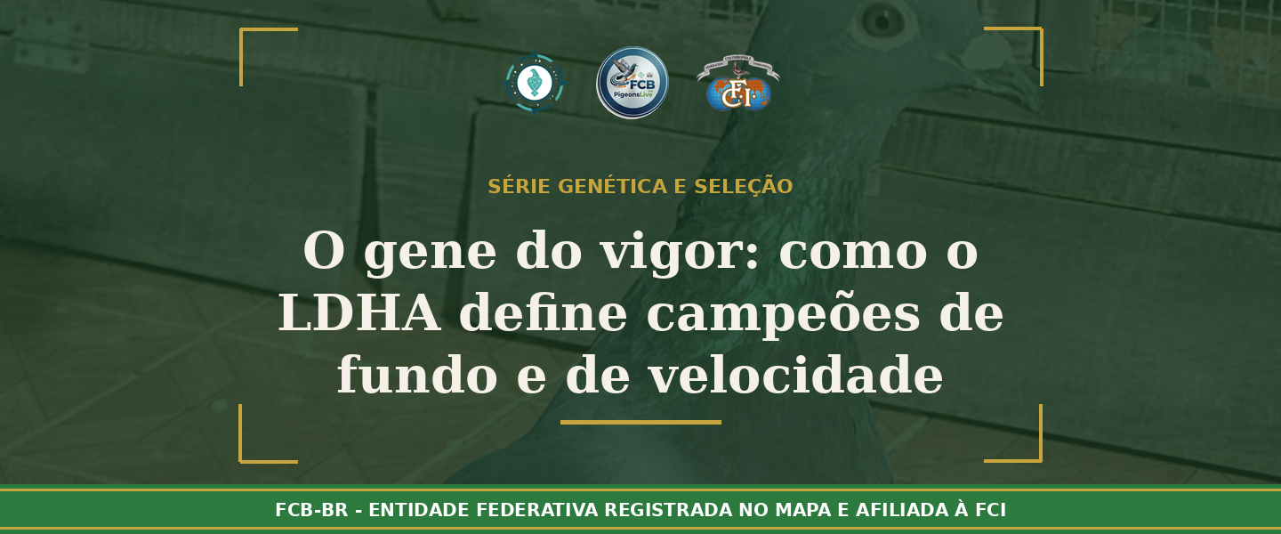 O “Gene do Vigor”: Como o LDHA Define Campeões de Fundo e Velocidade