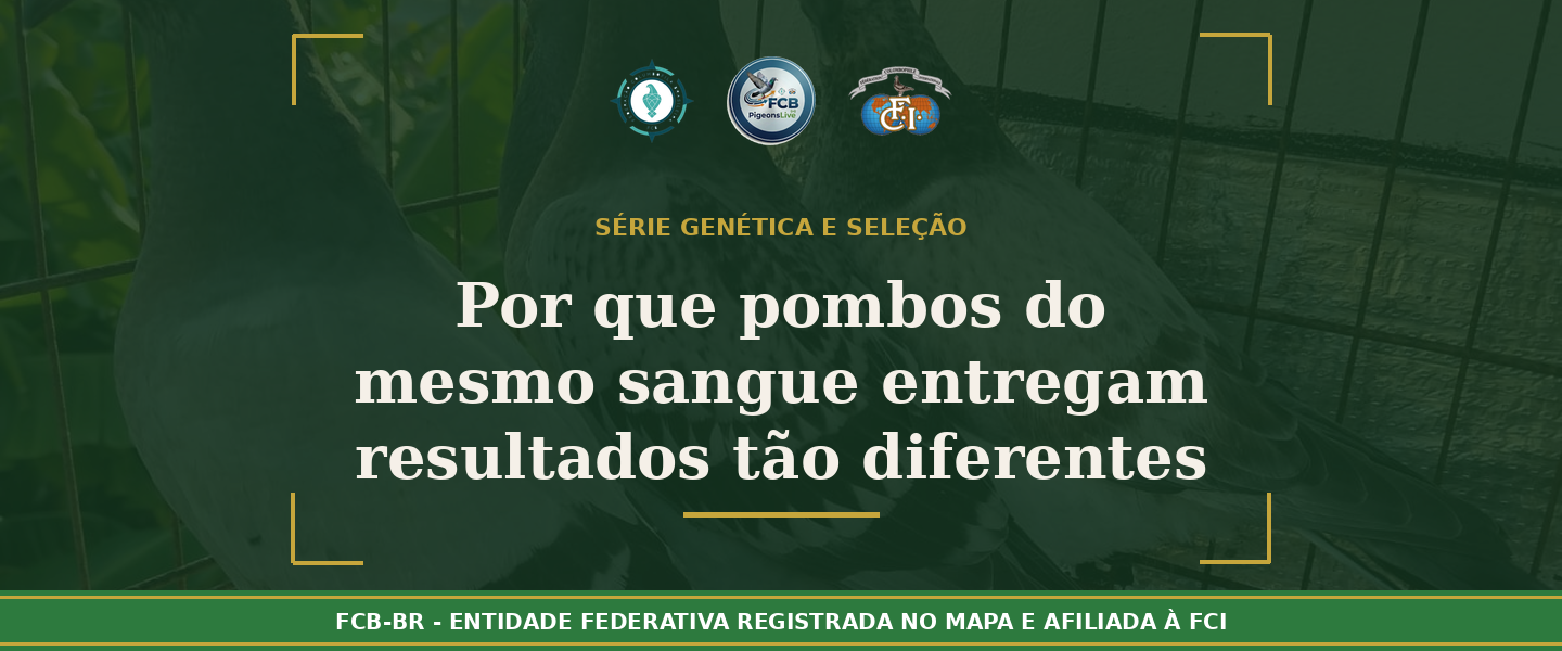 Por que pombos com o mesmo sangue entregam resultados tão diferentes?
