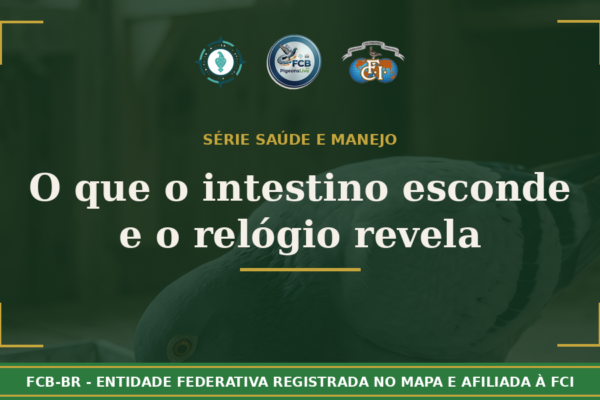 Saúde do Pombo-Correio: O que o Intestino Esconde e o Relógio Revela