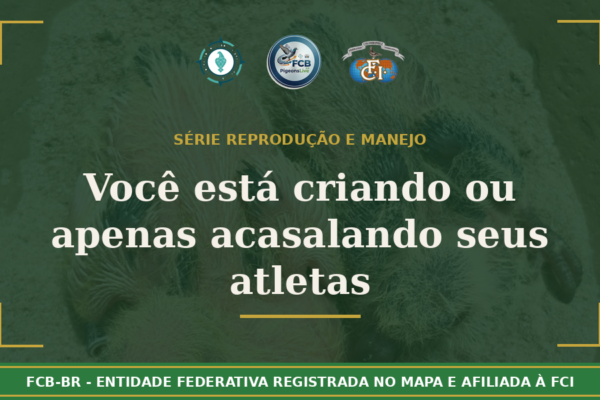 Você está criando ou apenas acasalando seus atletas?