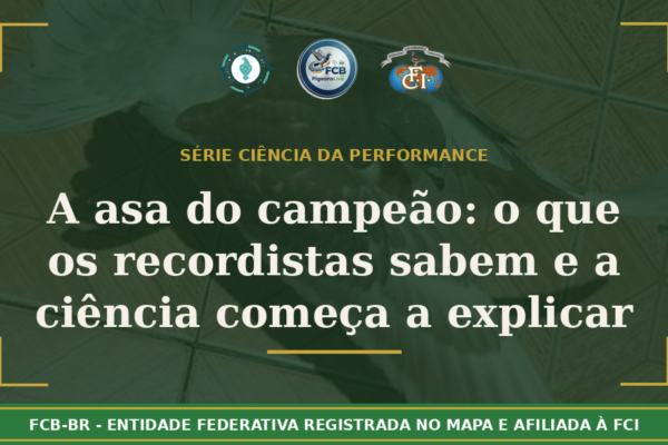 A Asa do Campeão: O Que os Recordistas Sabem e a Ciência Começa a Explicar
