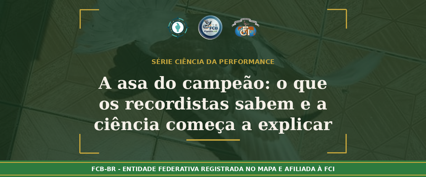 A Asa do Campeão: O Que os Recordistas Sabem e a Ciência Começa a Explicar