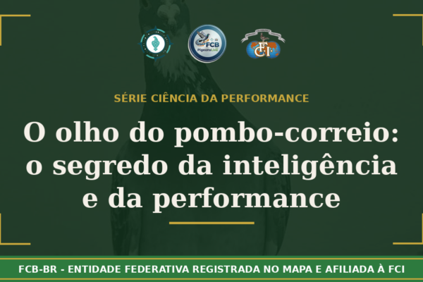 Olho do Pombo-Correio: O Segredo da Inteligência e Performance