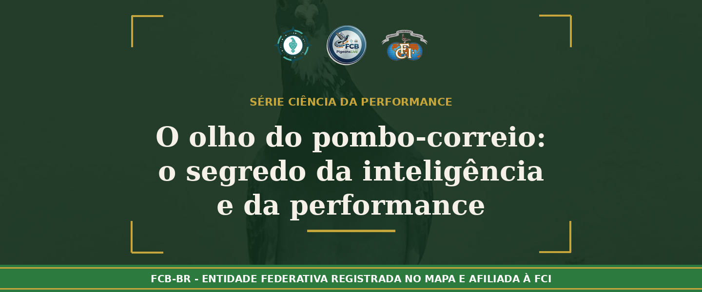 Olho do Pombo-Correio: O Segredo da Inteligência e Performance