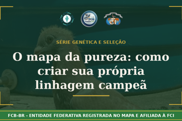 O Mapa da Pureza: Como Criar Sua Própria Linhagem Campeã em 10 Gerações