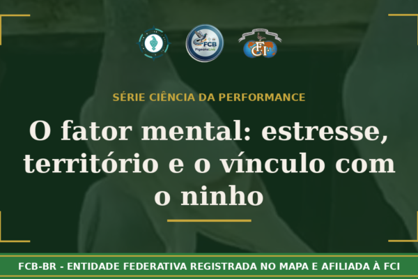 O Fator Mental: Como o estresse, o território e o vínculo com o ninho determina o resultado de uma prova