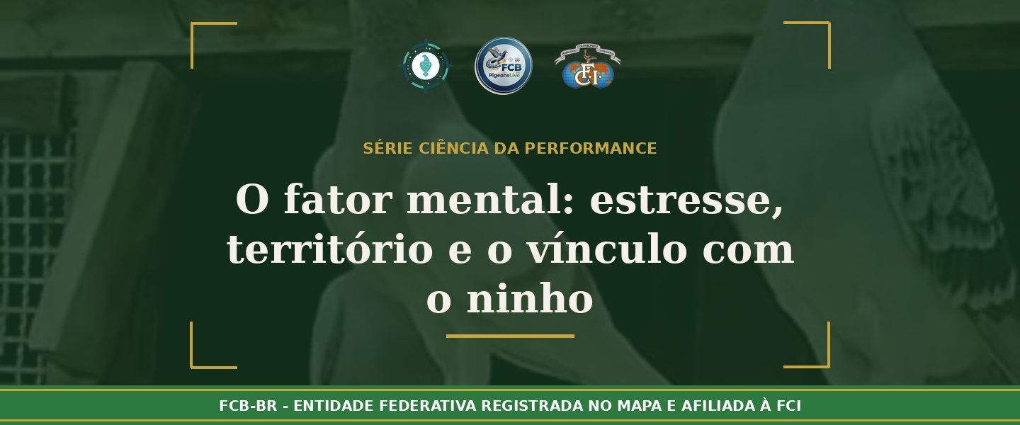 O Fator Mental: Como o estresse, o território e o vínculo com o ninho determina o resultado de uma prova
