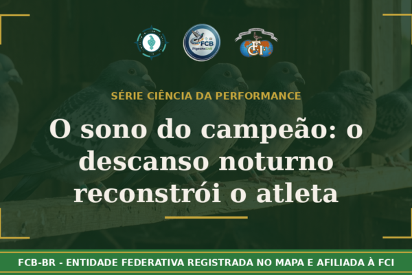 O Sono do Campeão: Como o descanso noturno reconstrói o atleta que você vai soltar no sábado