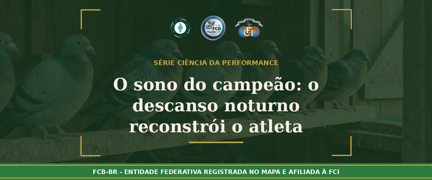 O Sono do Campeão: Como o descanso noturno reconstrói o atleta que você vai soltar no sábado