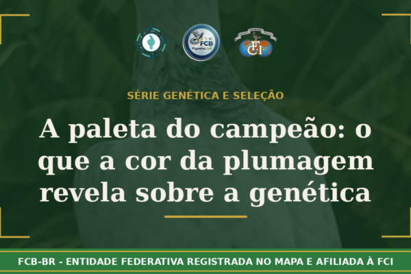 A paleta do campeão: O que a cor da plumagem revela sobre a genética do seu atleta