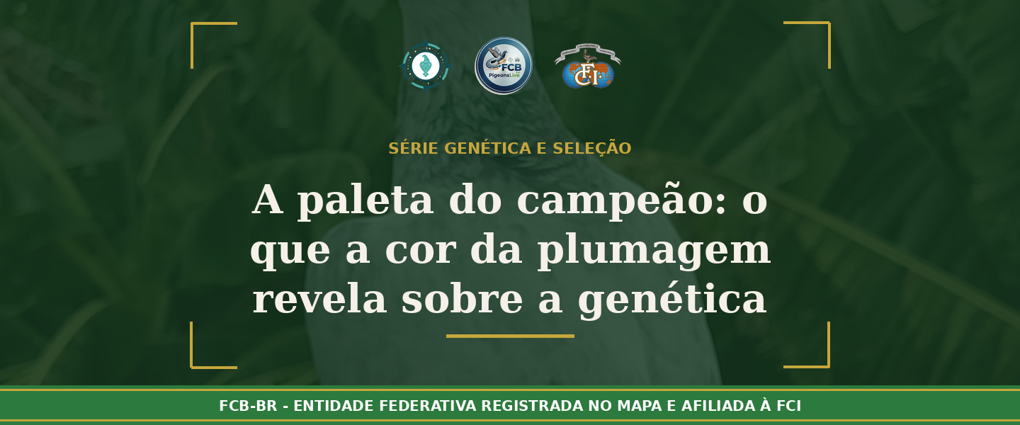 A paleta do campeão: O que a cor da plumagem revela sobre a genética do seu atleta