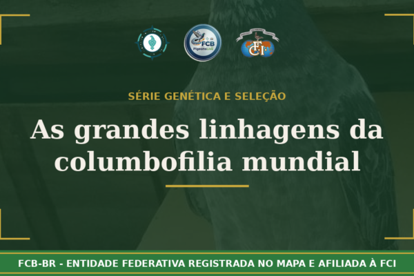 As grandes linhagens da columbofilia mundial. O que cada família genética revolteou sobre a ciência do voo