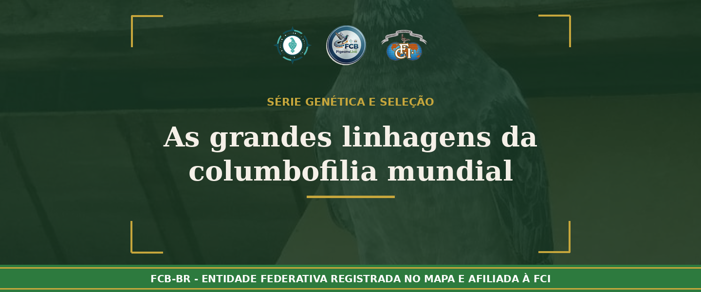 As grandes linhagens da columbofilia mundial. O que cada família genética revolteou sobre a ciência do voo
