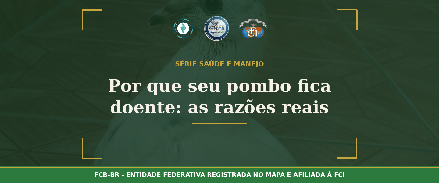 Por que seu pombo fica doente? Você conhece as razões reais?