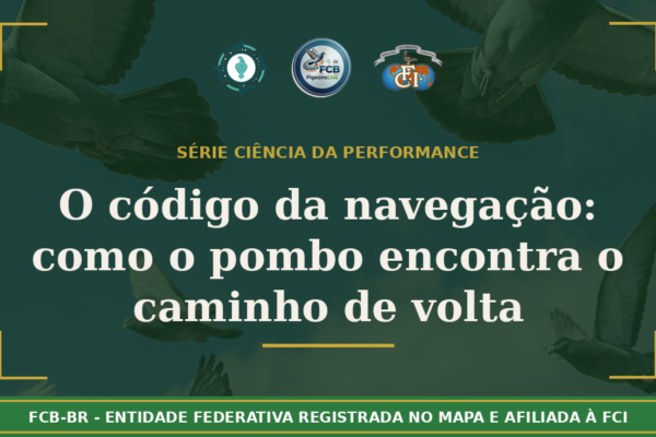 O código da navegação: Como o pombo-correio encontra o caminho de volta quando tudo ao redor mudou