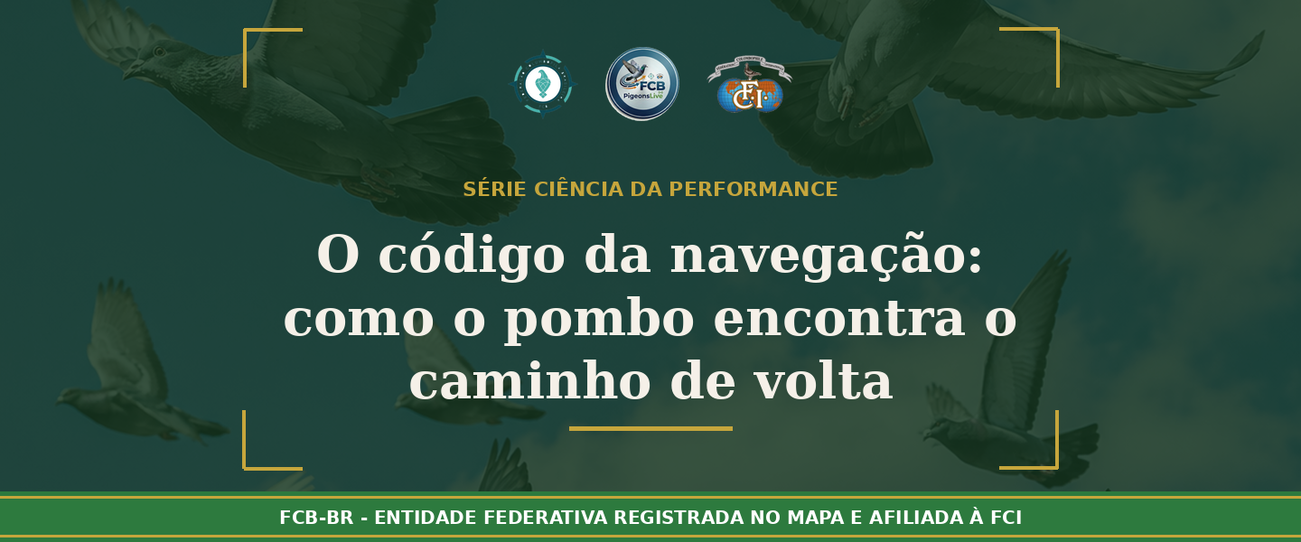 O código da navegação: Como o pombo-correio encontra o caminho de volta quando tudo ao redor mudou