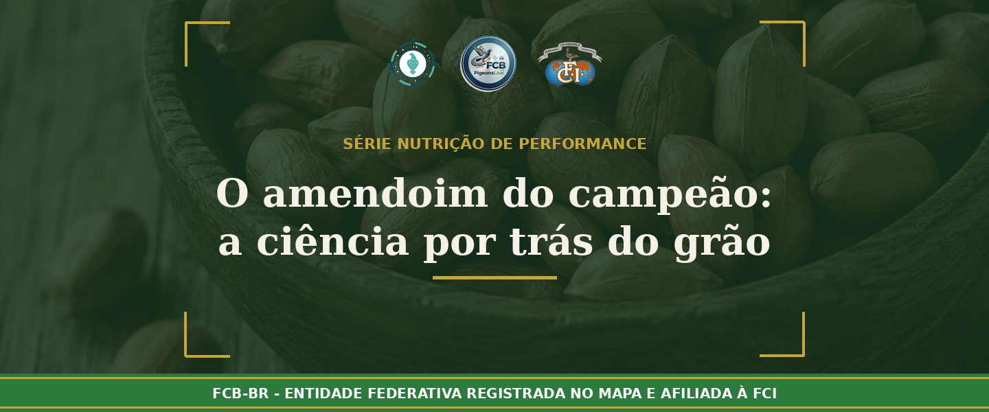 O amendoins do campeão: A ciência por trás do grão que os criadores europeus nunca abrem mão