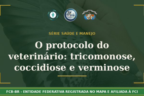 O protocolo do veterinário: Tratamento completo da ‘TCV’ – Tricomonose, Coccidiose e Verminose no pombal brasileiro