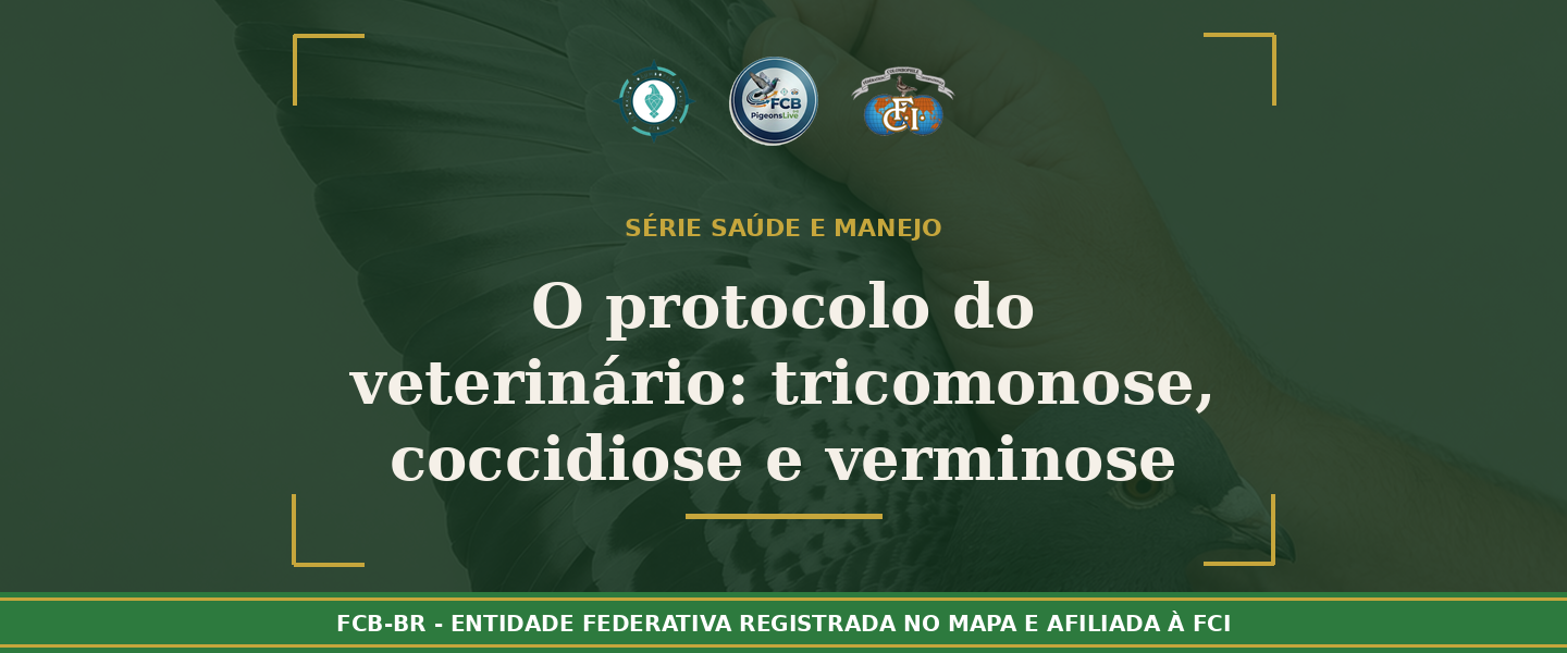 O protocolo do veterinário: Tratamento completo da ‘TCV’ – Tricomonose, Coccidiose e Verminose no pombal brasileiro