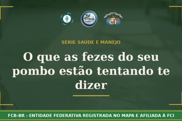 O que as fezes do seu pombo estão tentando te dizer: Guia completo de diagnóstico visual