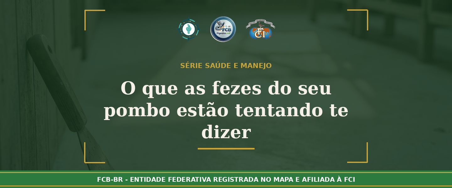 O que as fezes do seu pombo estão tentando te dizer: Guia completo de diagnóstico visual