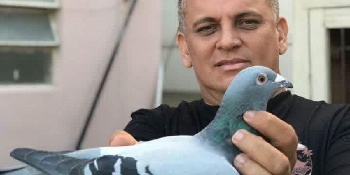 ENTREVISTAS FCB | MAURÍCIO PEREIRA DA COSTA – Pombal Arco Verde – Delta Pigeons, Parnaíba – Piauí