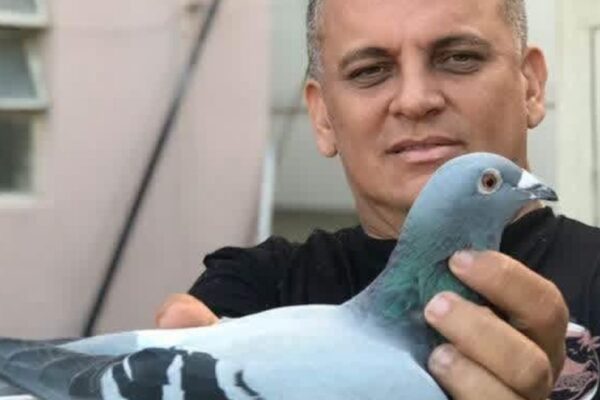 ENTREVISTAS FCB | MAURÍCIO PEREIRA DA COSTA – Pombal Arco Verde – Delta Pigeons, Parnaíba – Piauí