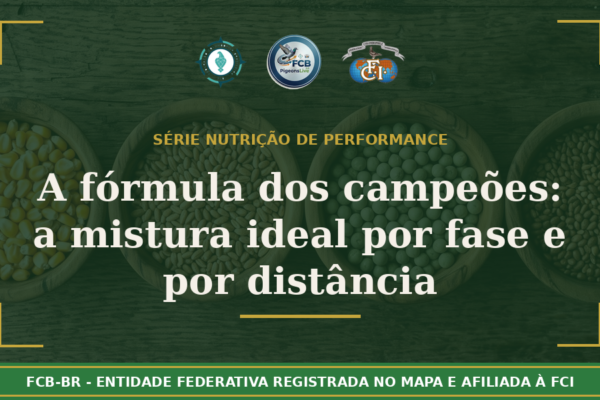 A fórmula dos campeões: Como montar a mistura de ração ideal por fase e por distância