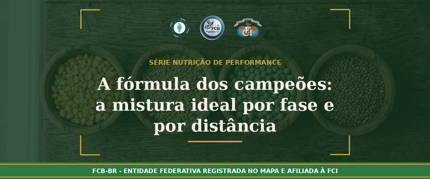 A fórmula dos campeões: Como montar a mistura de ração ideal por fase e por distância