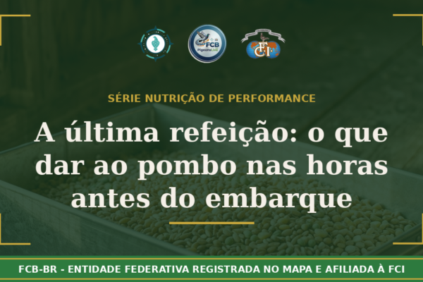 A última refeição: O que dar ao seu pombo nas horas que antecedem o embarque