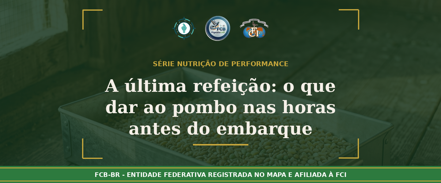 A última refeição: O que dar ao seu pombo nas horas que antecedem o embarque