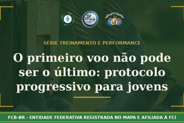 O primeiro voo não pode ser o último: Protocolo progressivo para jovens pombos-correio