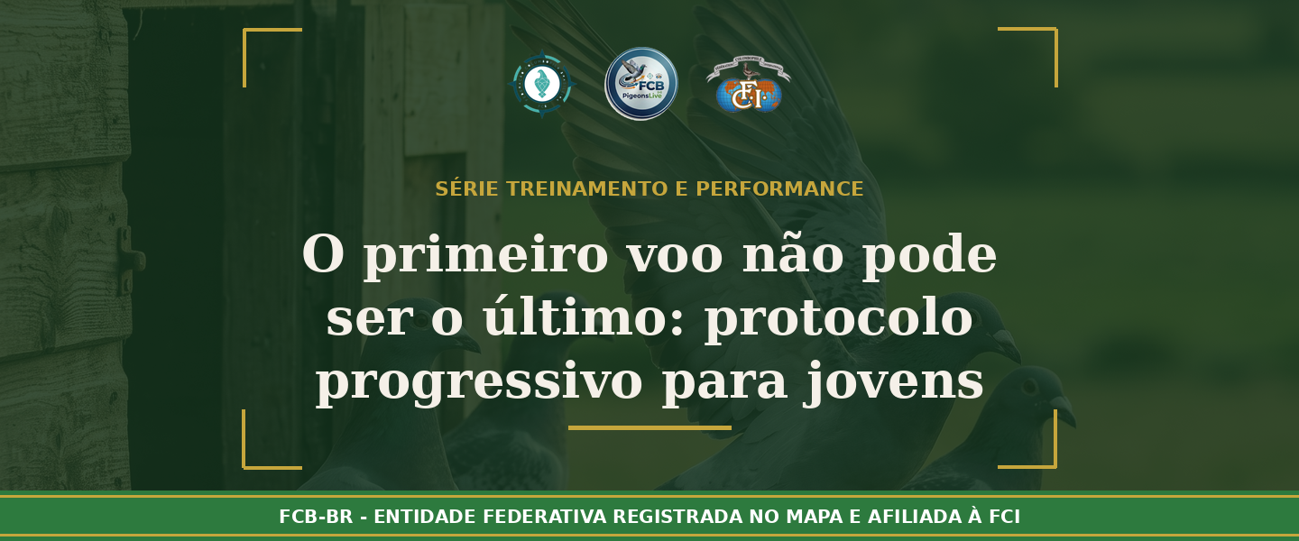 O primeiro voo não pode ser o último: Protocolo progressivo para jovens pombos-correio