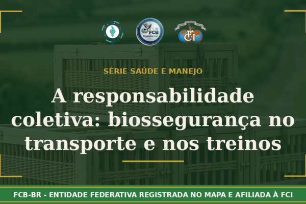A responsabilidade coletiva: Biossegurança no transporte e nos treinos de columbofilia