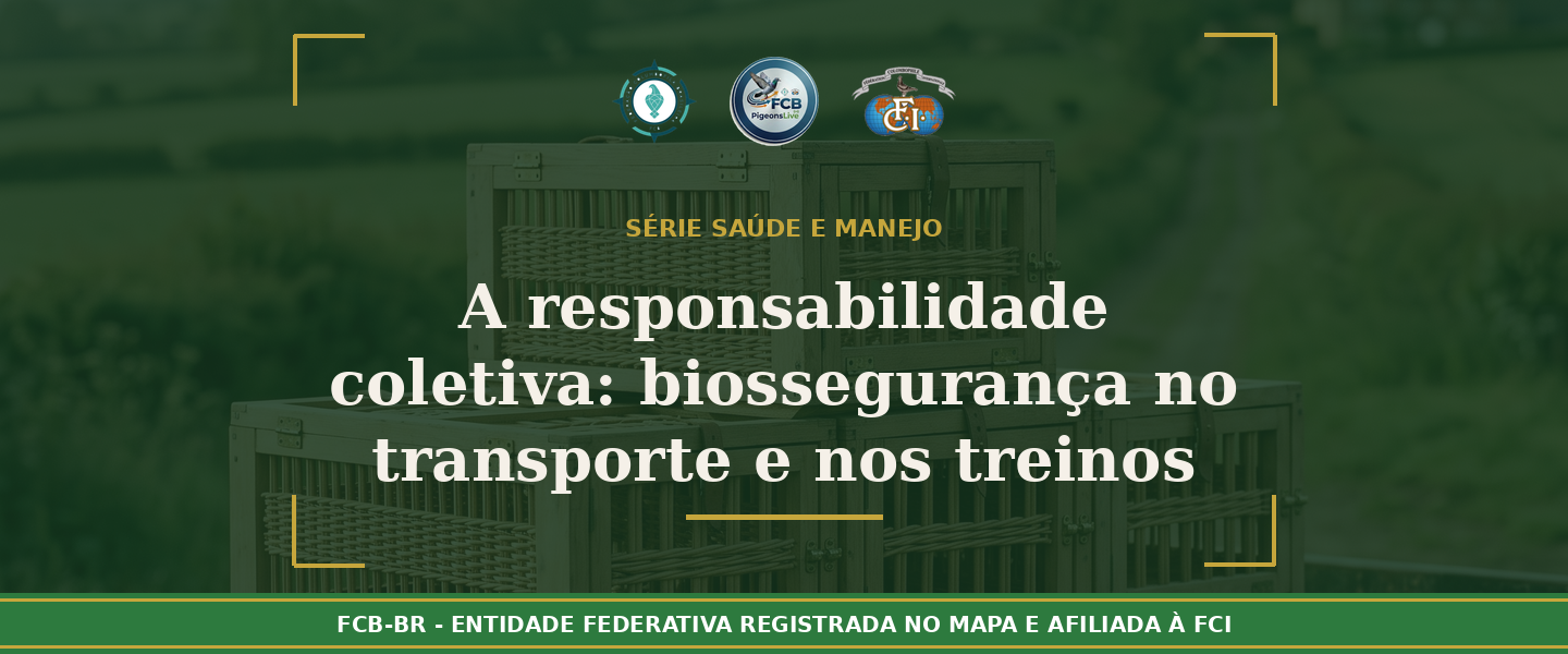 A responsabilidade coletiva: Biossegurança no transporte e nos treinos de columbofilia