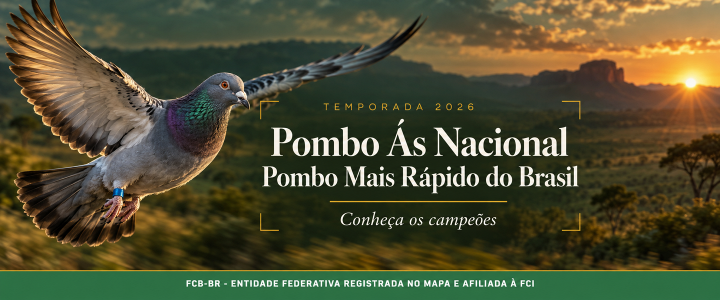 Pombo Ás Nacional e Pombo Mais Rápido do Brasil 2026: conheça os campeões da temporada