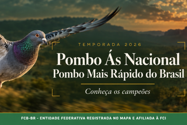 Pombo Ás Nacional e Pombo Mais Rápido do Brasil 2026: conheça os campeões da temporada